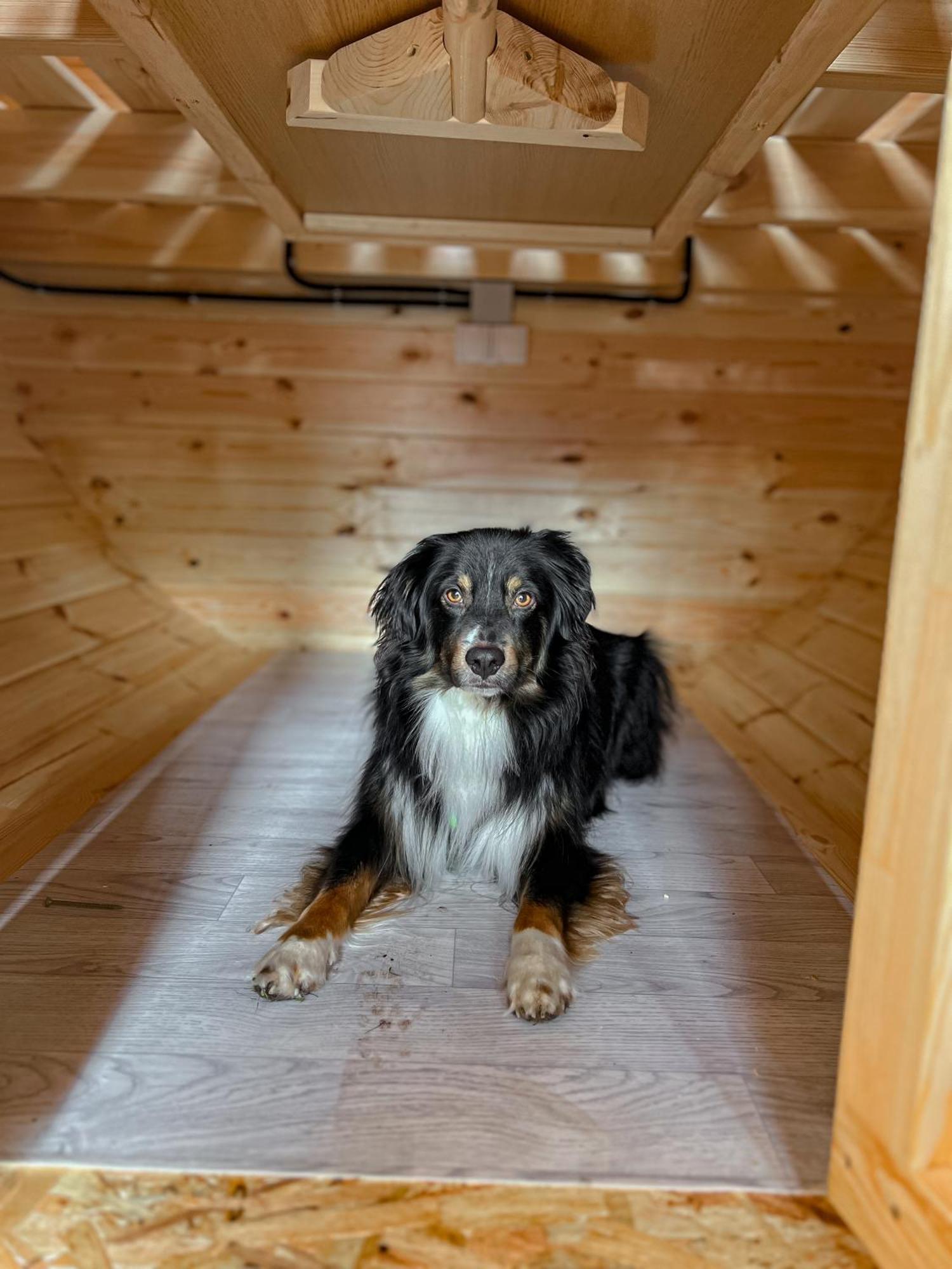 Wohnen Im Campingcube Direkt Am Rhein Campingplatz Köln